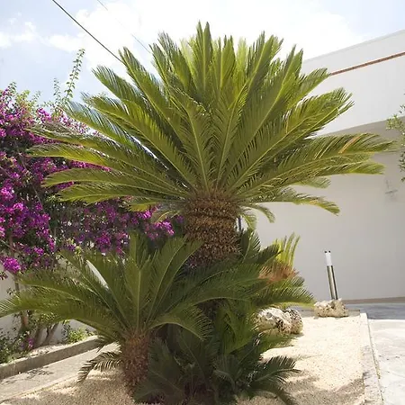 Viro Bed & Breakfast