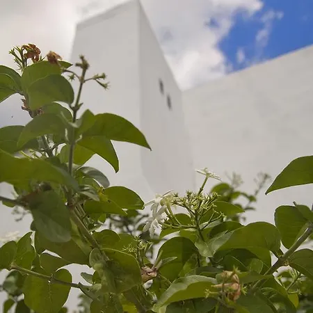 维罗住宿加早餐旅馆