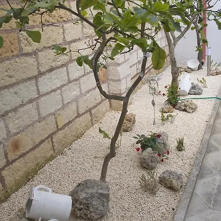 维罗住宿加早餐旅馆 住宿加早餐酒店