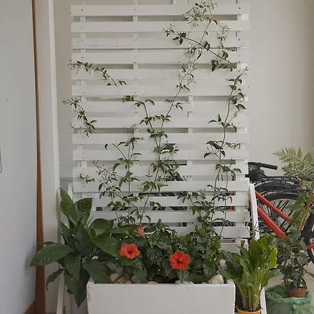 维罗住宿加早餐旅馆 住宿加早餐酒店 3*