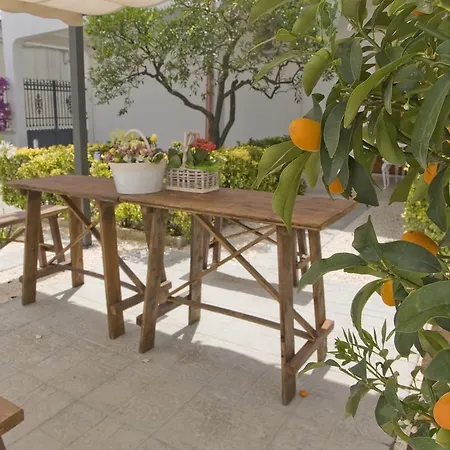 Viro 3* Campi Salentina