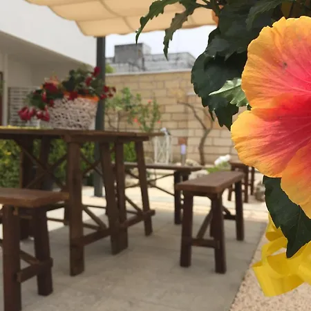 Viro Bed & Breakfast 3*